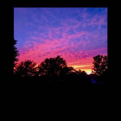 Ruefulism's tweet image. ✦Vero uses Quotes Writer is “Crack”
✦Summoner!Vero
✦Experienced Writer
✦Always happy to talk out troubles
✦Not looking to ship.
✦Art is for me, by me, or requested permission
✦♡ &amp;amp; Retweet to help me find interactions?