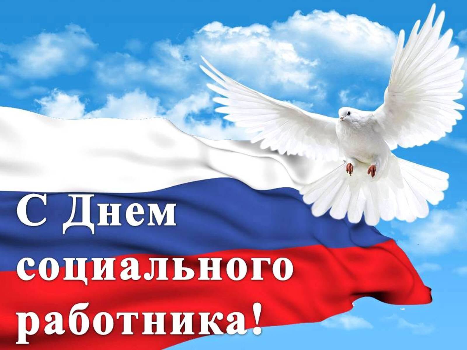 Открыток днем, день социального работника поздравление в картинках