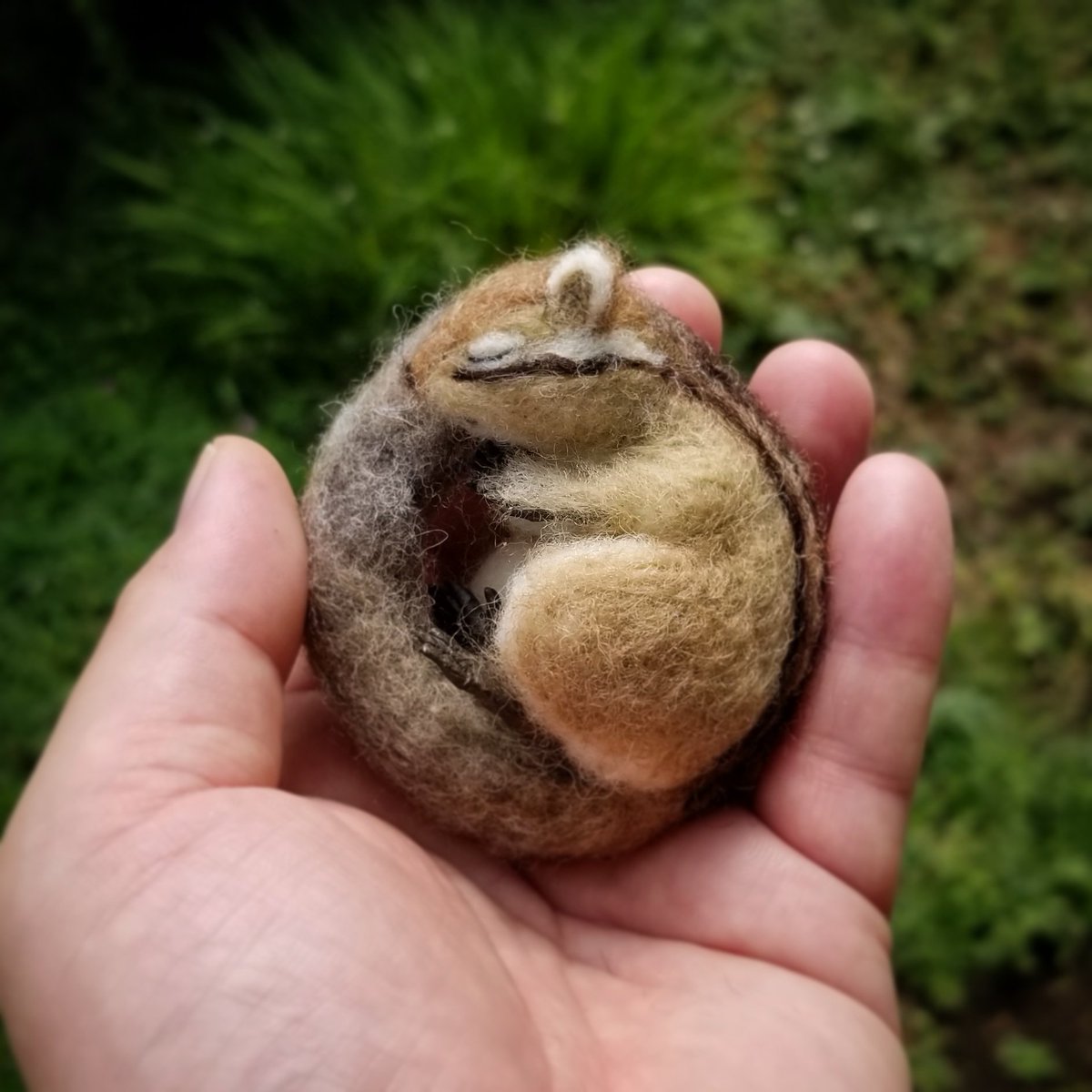 Yoshinobu 羊毛フェルトの新作 眠る子リス が出来上がりました 子供のシマリスがくるんと丸めた尻尾を枕に眠っているところを作りました 日本橋三越本館5階のコンフォートバスガーデンで展示販売中です ぜひ会場でご覧ください ６月１８日までです