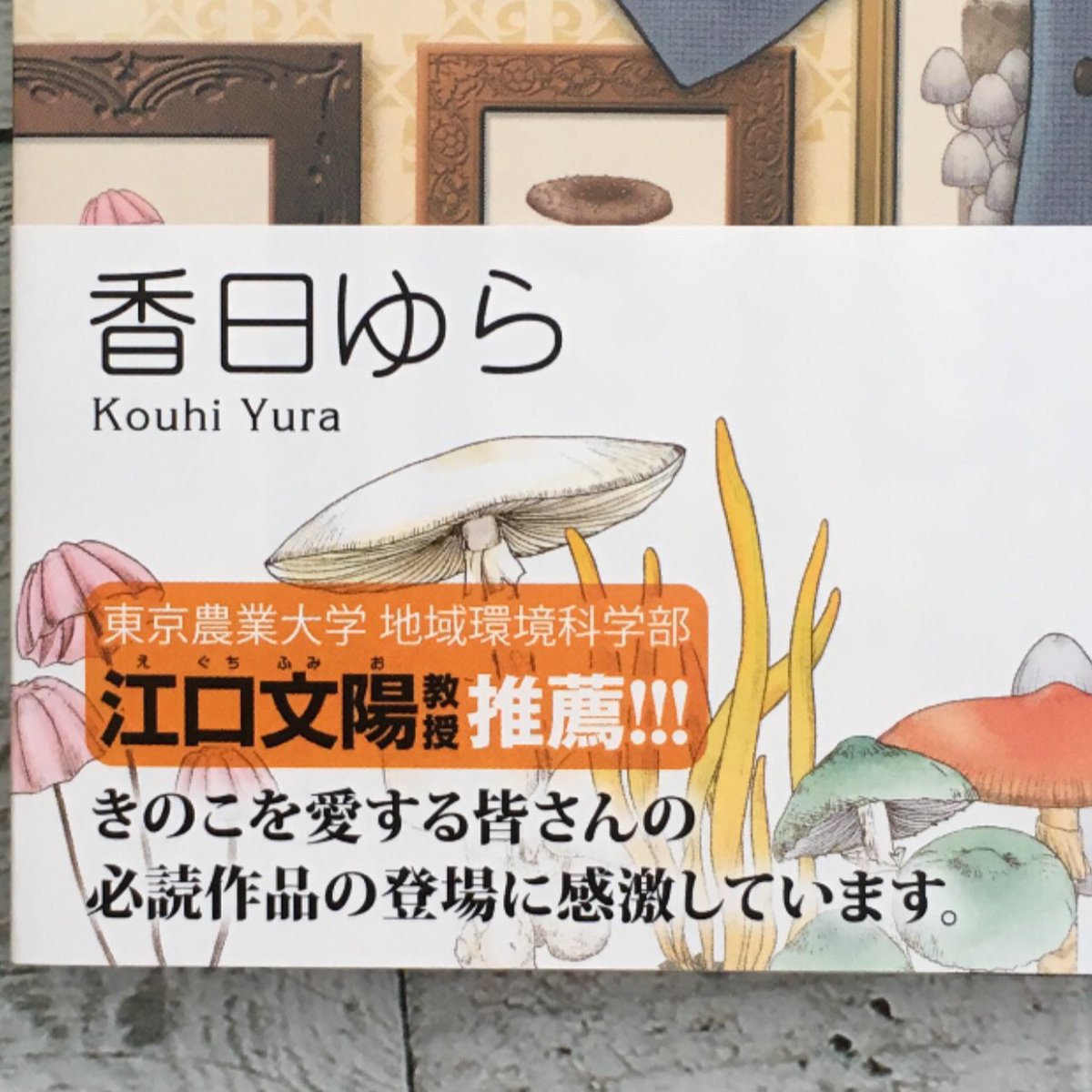三枝教授のすばらしき菌類学講座 についてのきのこクラスタの反応 Togetter 三枝教授のすばらしき菌類学講座 についてのきのこクラスタの反応 Togetter
