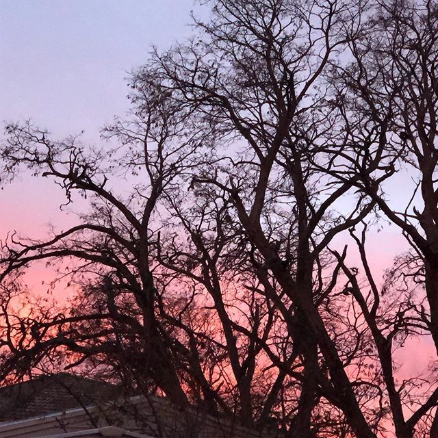 Beautiful sky during the sunrise today... up early to the farmer’s market and a day with a friend. #grateful #sky #snowymountainsnsw #longweekend bit.ly/2WwK1iU