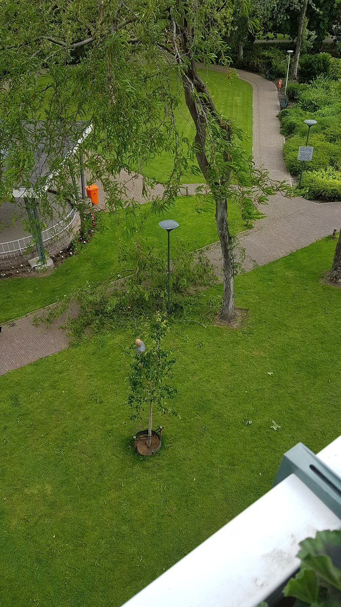 JackVanGool1's tweet photo. @WA_RsdThema Veel wind buiten in het park net in het loopweg😱 https://t.co/IolTF70Rp5
