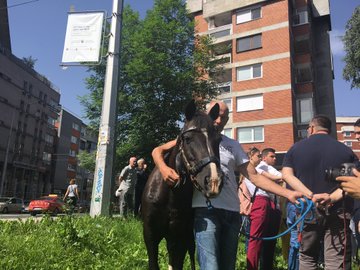 View image on Twitter