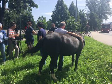 View image on Twitter