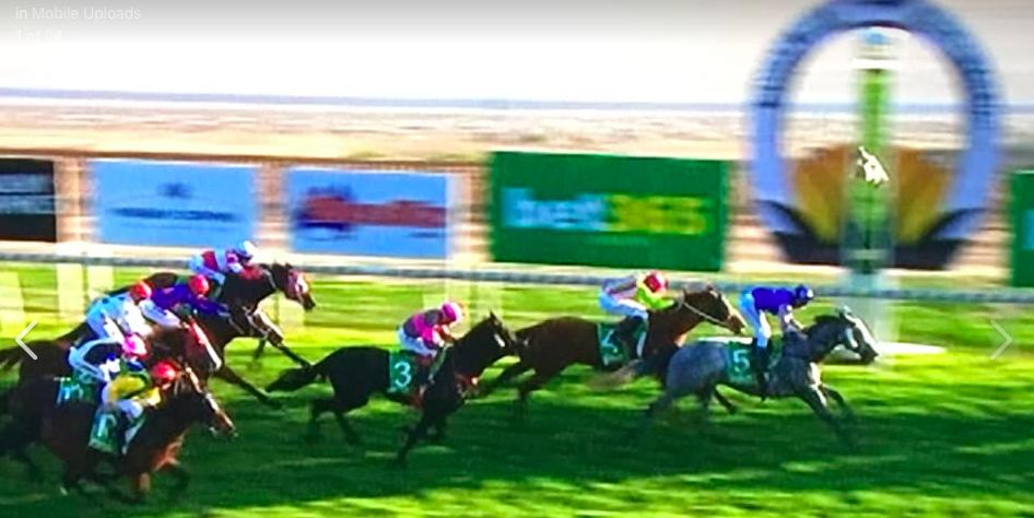 Mula!3 out of 4 since joining 888Racing!There’s horses available so GET INVOLVED!888racing.com.au/horses-availab…