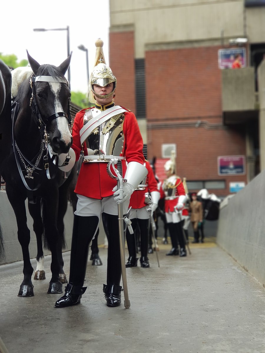 Household Cavalry tweet media