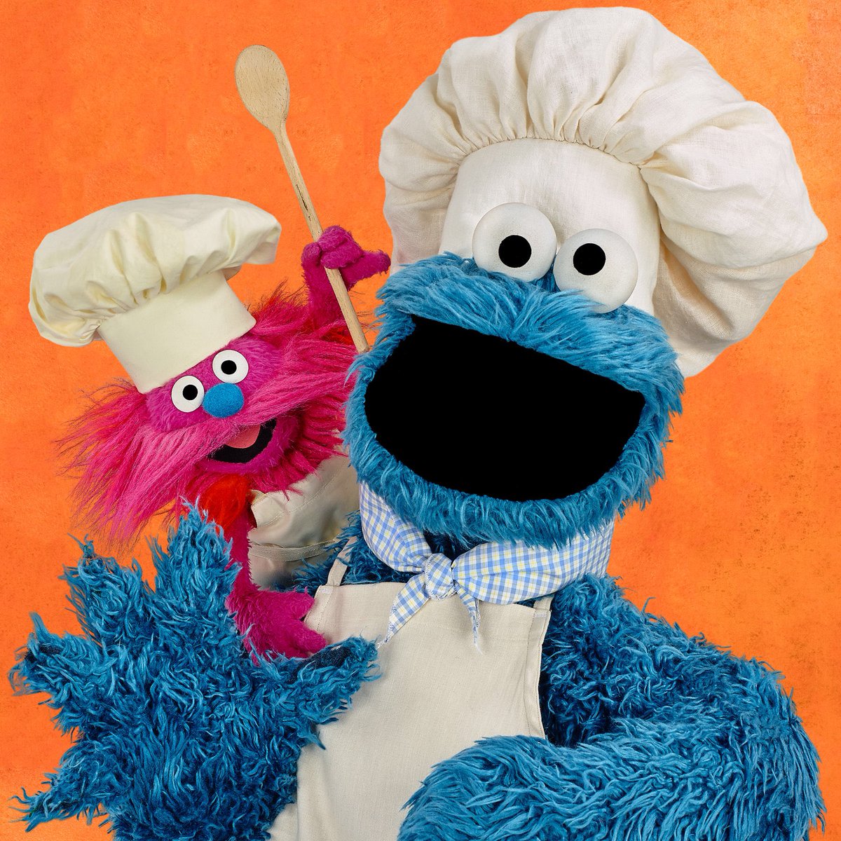 cookie monster and gonger toys