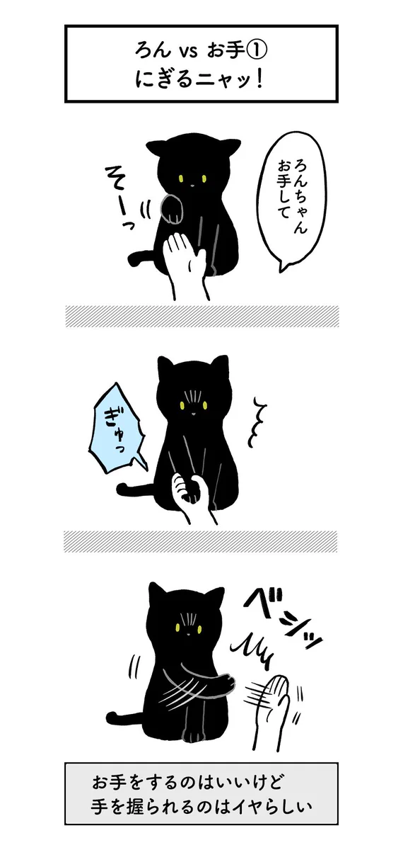 猫なりにお手を試行錯誤！うーんエライ！！