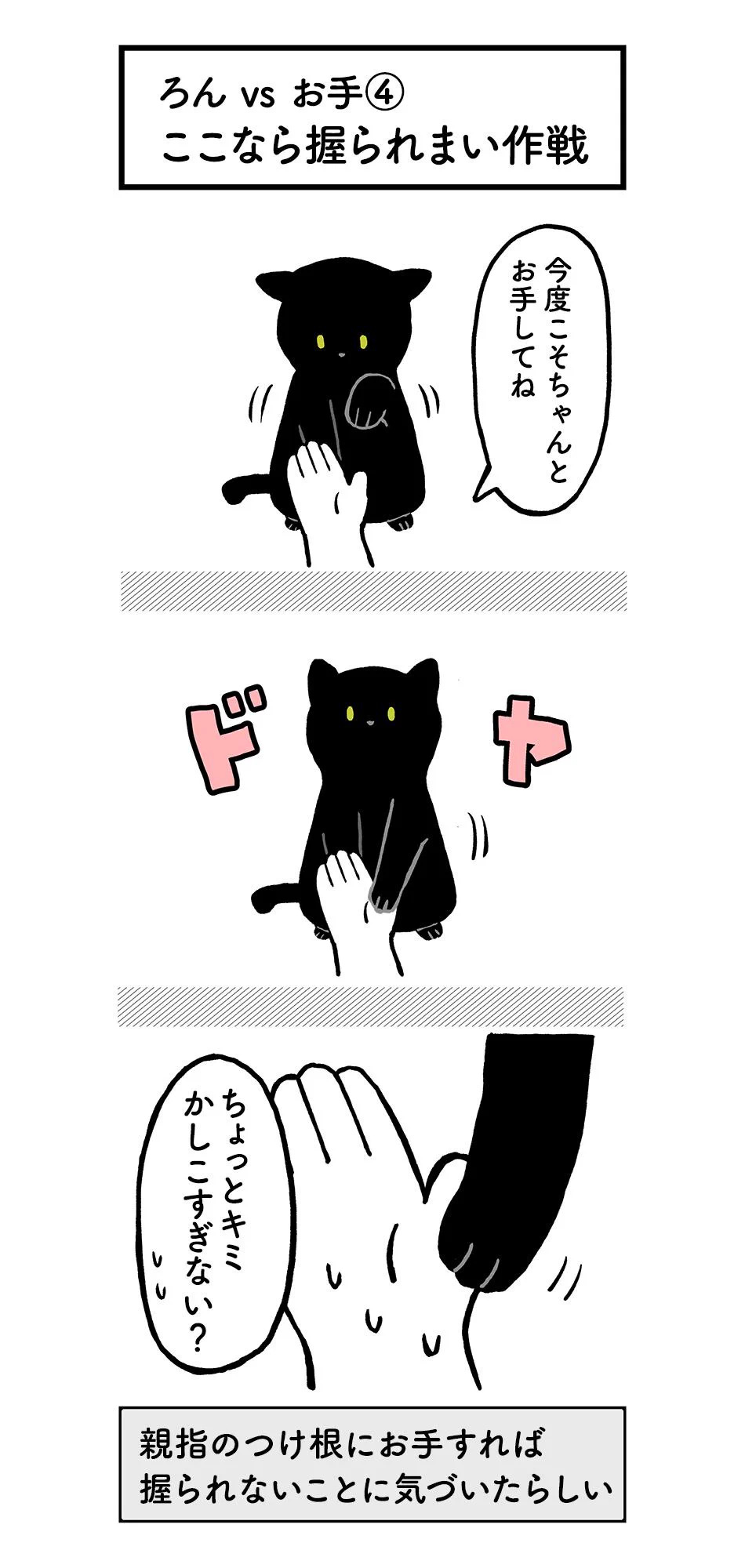 猫なりにお手を試行錯誤！うーんエライ！！