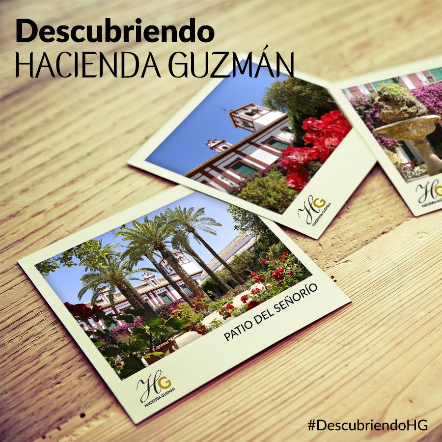 📍  Hoy en #DescubriendoHG te enseñamos el eje central de la hacienda: El patio de señorío.

Se trata de un fantástico lugar que, personas como Carlos III o Fernando VI, han tenido el placer de disfrutar de él. 

bit.ly/oleoturismoHG