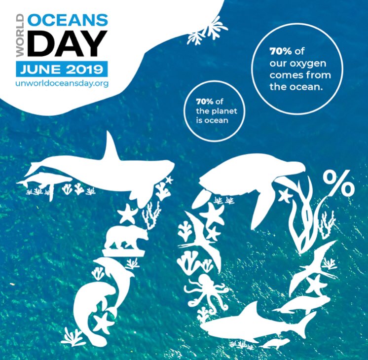 Today is #WorldOceansDay after learning more about #Goal14 #LifeBelowWater are you trying hard to reduce your use of single use plastic?
