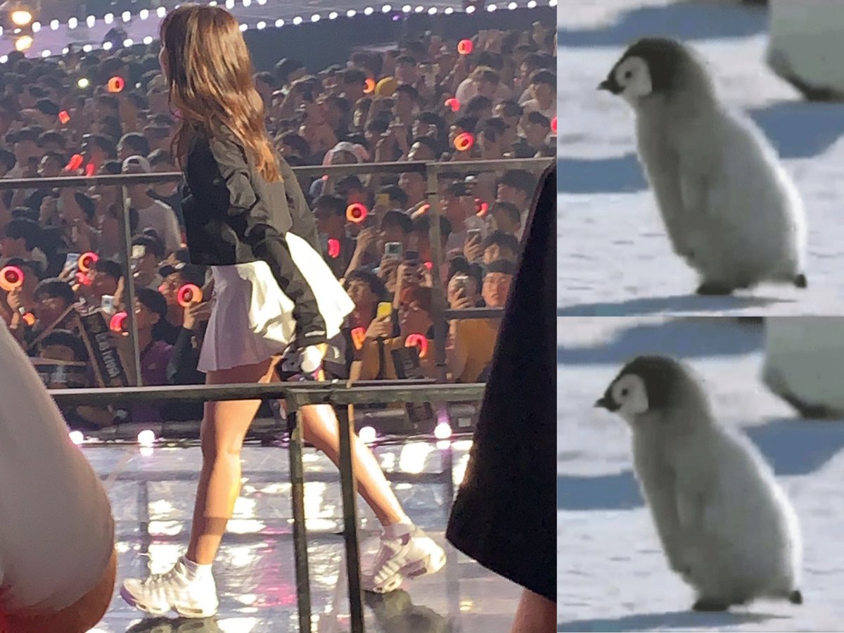 twice_Nayeon612's tweet photo. そのまんま‼︎😂
可愛すぎますって(笑) https://t.co/UATGZSSZHL