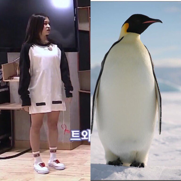 twice_Nayeon612's tweet photo. そのまんま‼︎😂
可愛すぎますって(笑) https://t.co/UATGZSSZHL