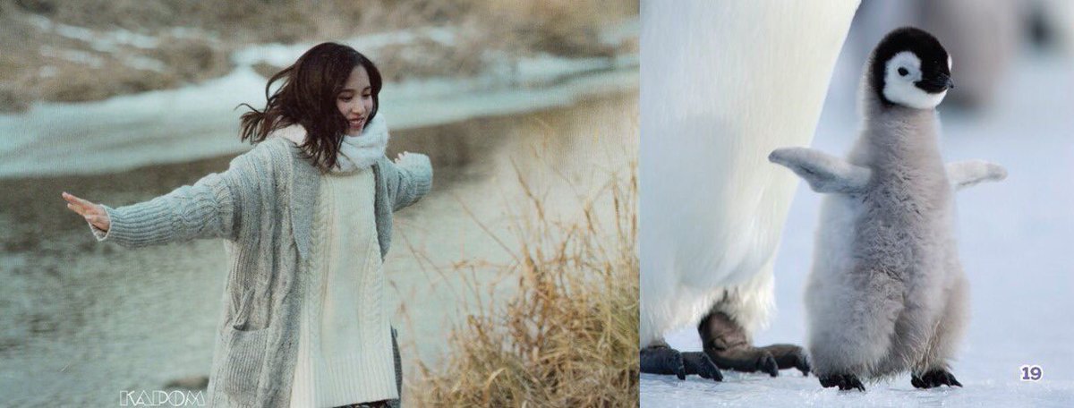 twice_Nayeon612's tweet photo. そのまんま‼︎😂
可愛すぎますって(笑) https://t.co/UATGZSSZHL