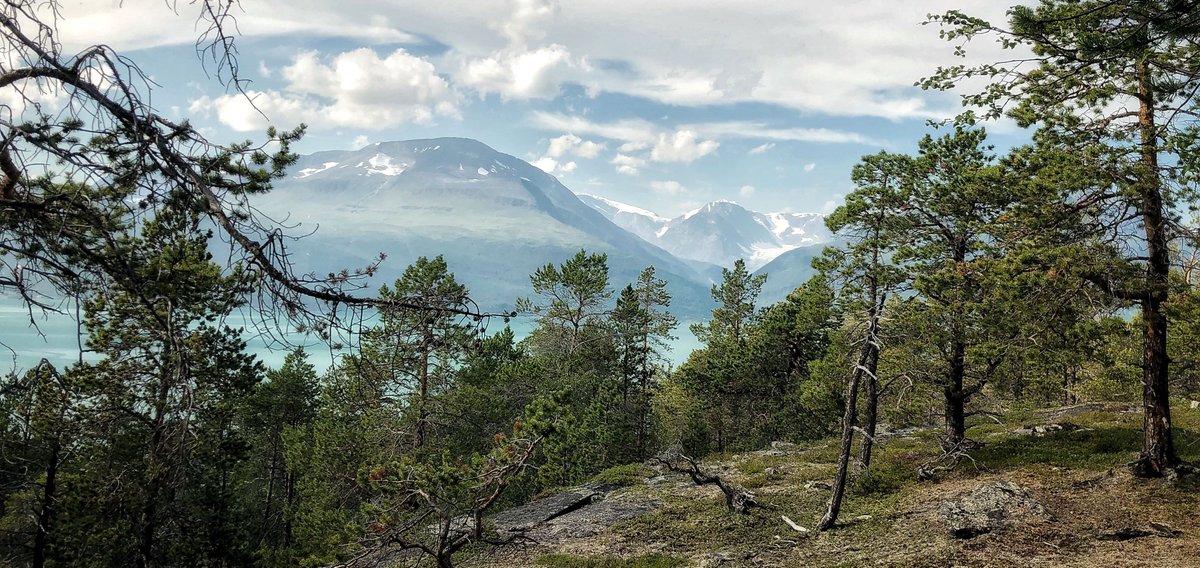 CETAF-DEST tweet media