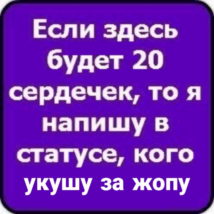 Картинки в статусы в вк, любимый котик прикольные