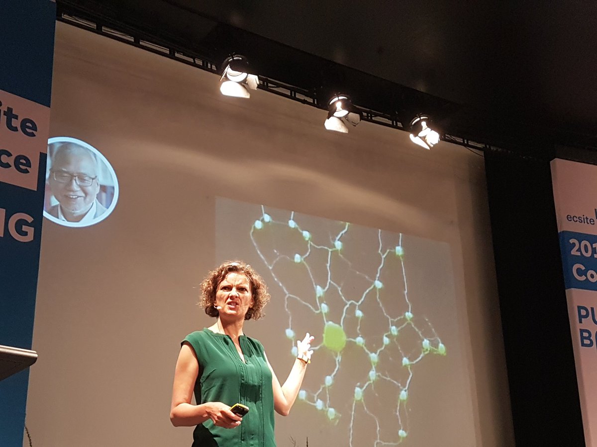 MuseoJu's tweet photo. Slime moulds will build optimal networks, are able to find the shortest way through a maze and have picky food preferences shows @Docteur_Drey #Ecsite2019 https://t.co/wNE3xEmQWa