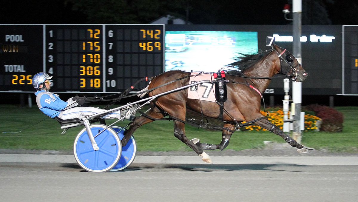 HarnessRacingDC's tweet photo. Referred to as an “ATM” the ever consistent #SouthwindAmazon vies for the title in the Battle of Lake Erie @NfldPark on Saturday. Read his story by @DArcyEganPD in #HoofBeats #HarnessRacing #ReadHB #AHoofAbove https://t.co/vohq5BbLSP

Photos by: @SaratogaWinPics @CGoodenPhotos https://t.co/zUFI4znJne
