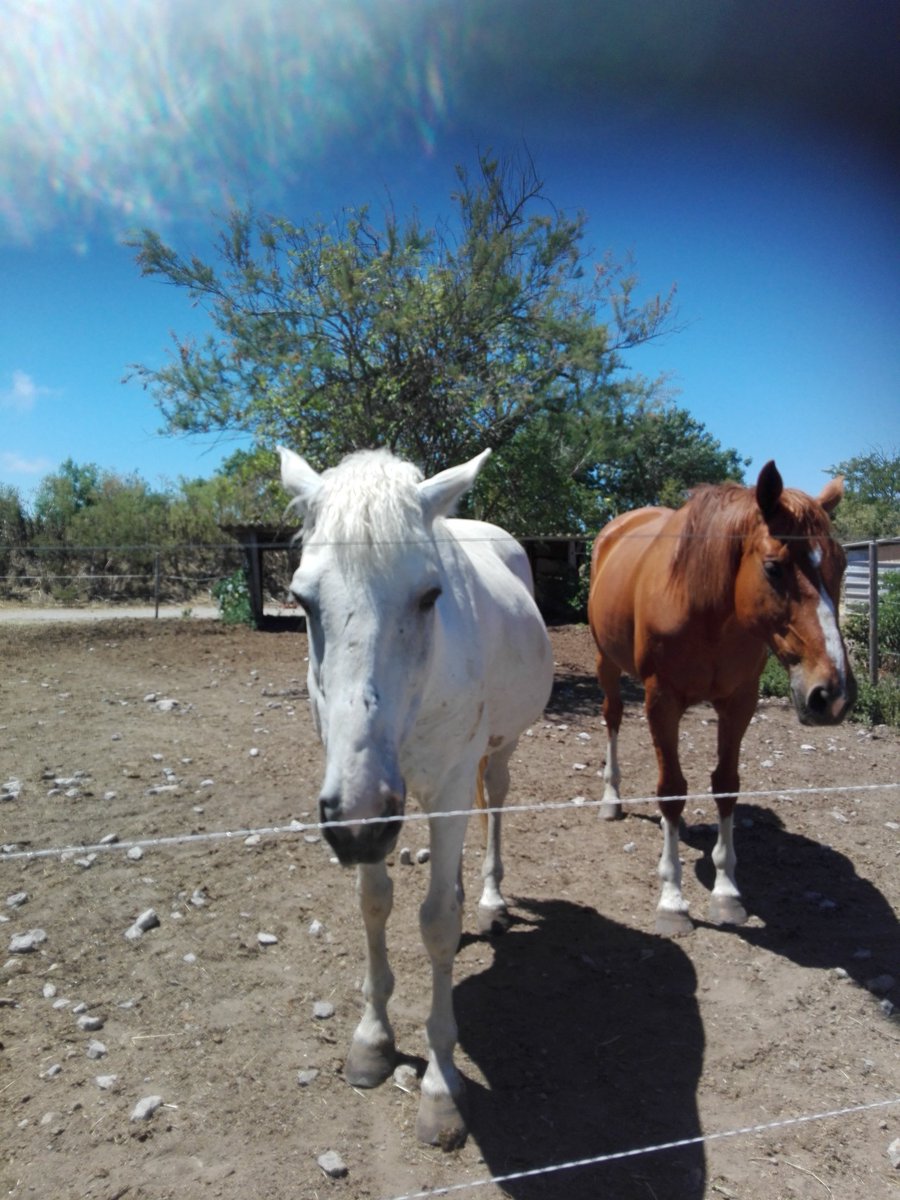 marelli (@jeanine806m) on Twitter photo 