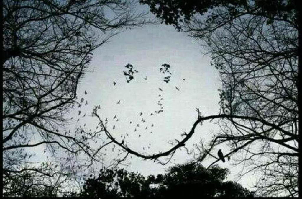 ابتسموا فلن يتغير العالم ... بعبوسكم !