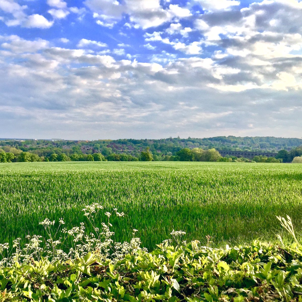 The Welwyn Viaduct &amp; panoramic view of Welwyn Garden City, Hertfordshire.

#viaduct #welwyn #welwyngardencity #hertfordshire #hertfordshirephotographer #hertfordshirelife #nikkilewisphotography #nikkilewisphotos #Panorama #view #countryside #field <a href="/BeHappyInWGC/">Be Happy In Welwyn Garden City</a> #hertfordshirelife