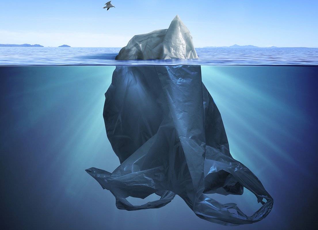NRC_CNRC's tweet photo. Concerned about #microplastics in our oceans? So are we! #NRCOceanResearch is working to improve our ability to predict how microplastics travel, accumulate, disperse, and degrade in waterways #WorldOceansDay #UnderstandTheProblem #TogetherWeCan๐ https://t.co/BJwx9M8b0R