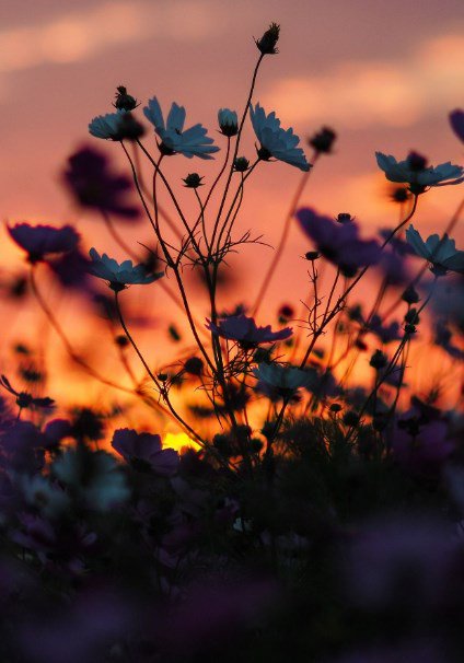 torarelaxtime's tweet photo. Good night dear my friends.
I imagine you being surrounded by laughs and smiles with friends or family.
Bless you.
#GoodNightTwitterWorld #GoodVibesOnLy #GoodNightEveryone #behappy #smilemore #Blessingforyou #BlessedAndGrateful #sweetdreams https://t.co/rt2ORSWoBM
