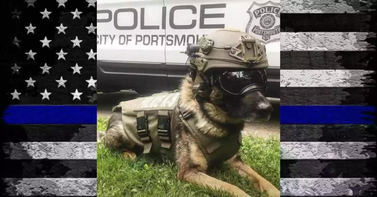 Hero Down: Portsmouth Police K9 Max Dies After Suffering On-Duty Injuries

Follow <a href="/bluelivesmtr/">Blue Lives Matter</a>
#BlueLivesMatter #BackTheBlue

Full Story buff.ly/2Xr6P05