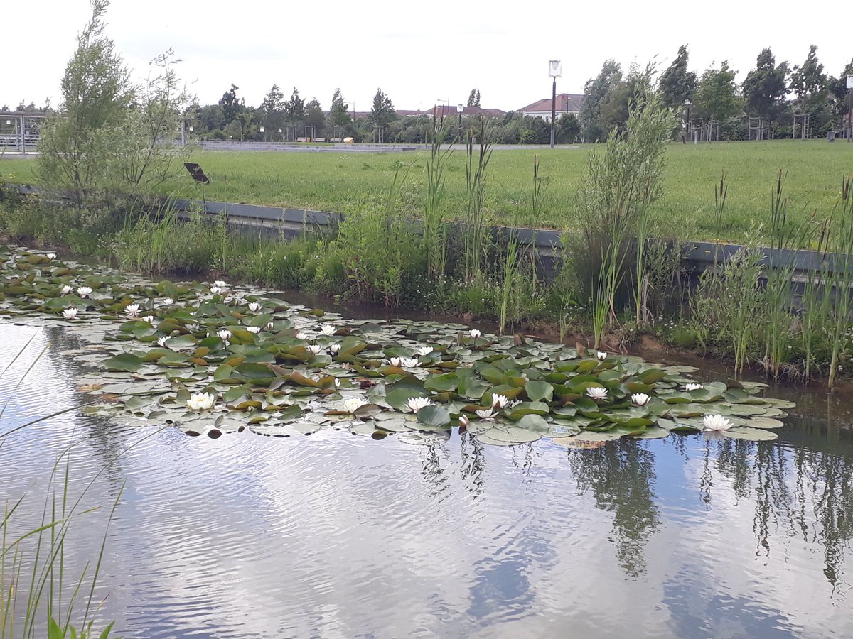 marcobobtail's tweet photo. #grdf #lafranceestbelle quelque part en ville en seine et marne https://t.co/YhEhnOWGPO