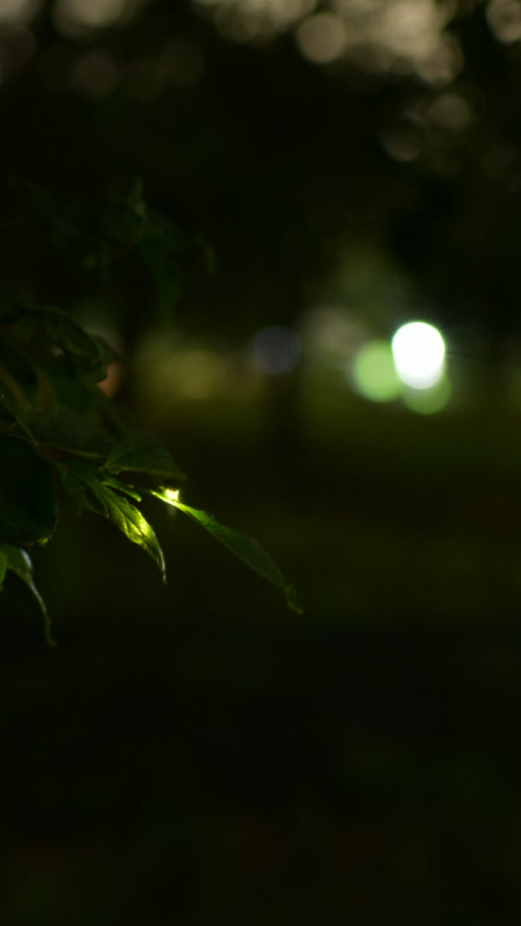金山緑地公園 Twitter Search Twitter