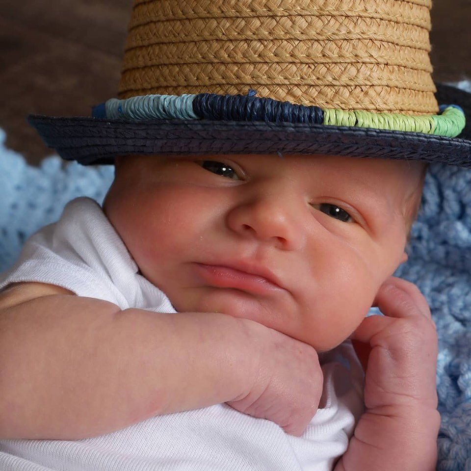 Ryan Fitzsimmons tweet media