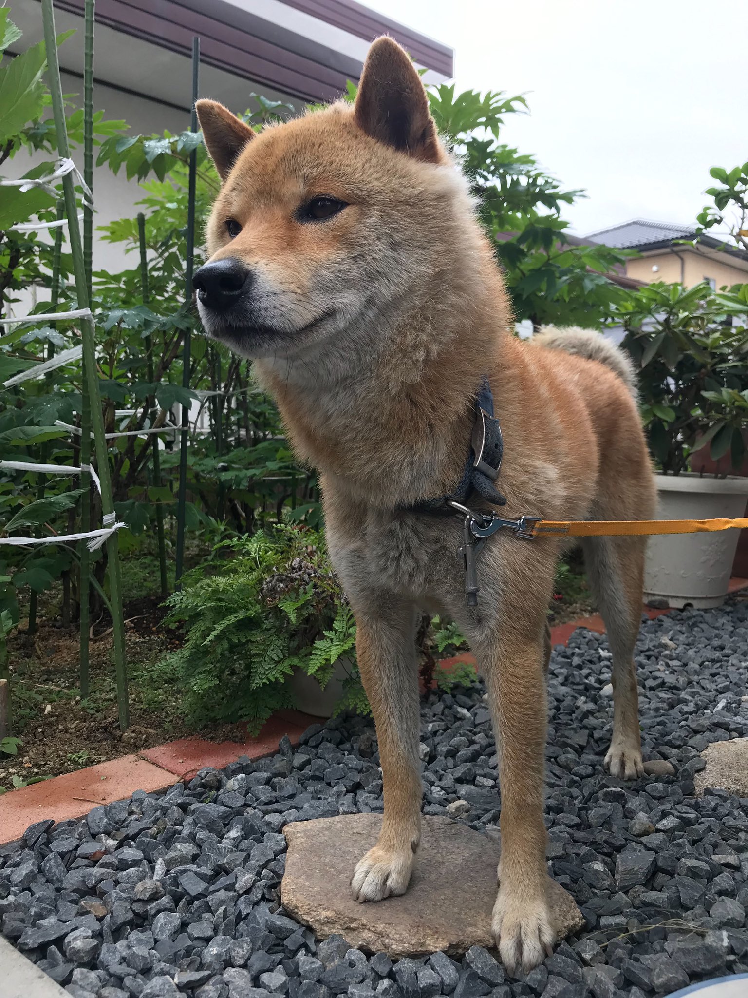 Follow Yasuyo007 S Yasuyo007 Latest Tweets Twitter