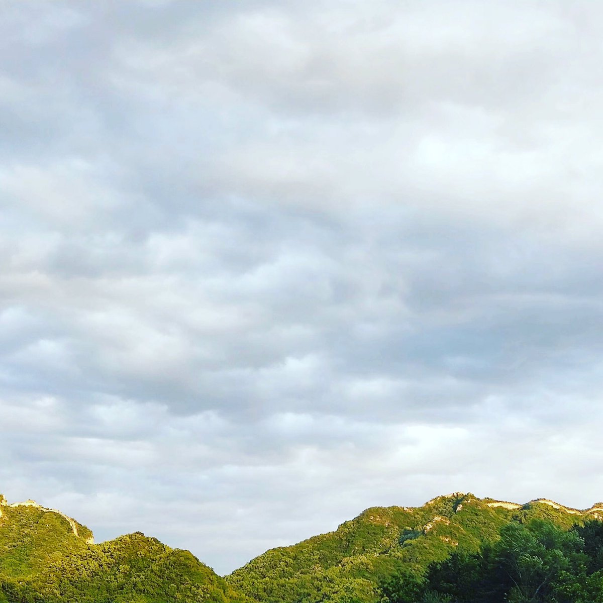 bj3btaxi's tweet photo. #greatwallofchina 
#MuTianYuGreatWall #daytour
#PEKairport #layover 
#mutianyu 
#thegreatwallofchina
#thegreatwall #layovertour #Beijing #beijingtrip #PEKairport #Thailand, #Philippine, #Vietnam #AirChina #visitchina  #budgettour #travel #travelgram #travelphotography https://t.co/FSYhHnvwkr