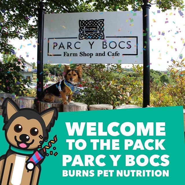 DogFuriendly's tweet image. #AD. SUPER excited to announce that @burnspet's and their very own #dogfuriendly farm shop and cafe has re-joined the pack!
😍
This is the pawfect place to visit with your pooch whether you want to shop for some goodies, grab a coffee or bite to eat.
… bit.ly/2wLi1ZC