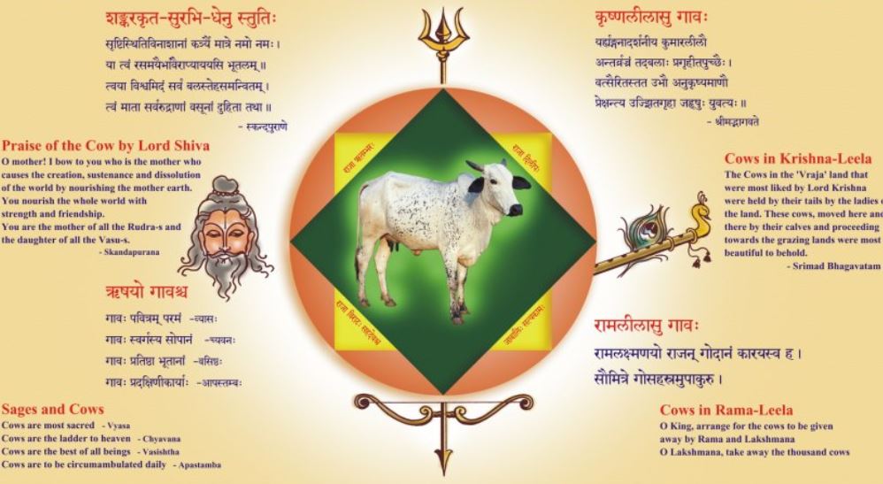 दोहन अथवा शोषण?Why Hindus respect cow as their mother cannot be understood from Abrahamic lens. Vedic philosophy believes in preservation of natural resources whereas Abrahmic theology says God created universe to the benefit of man & he can consume them as he wishes to.