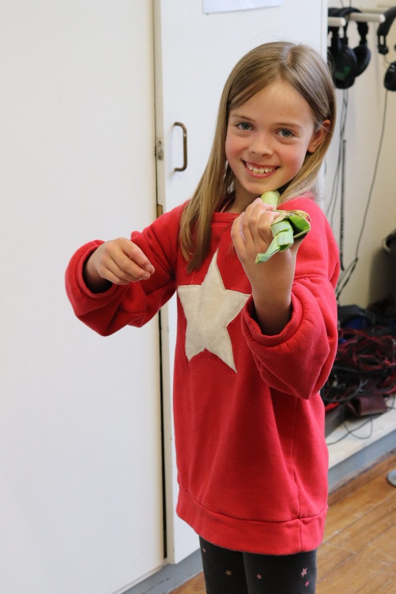 YorkISSP's tweet photo. And some of the students have been learning how to make violins out of leeks! https://t.co/xmYM9pg5WY