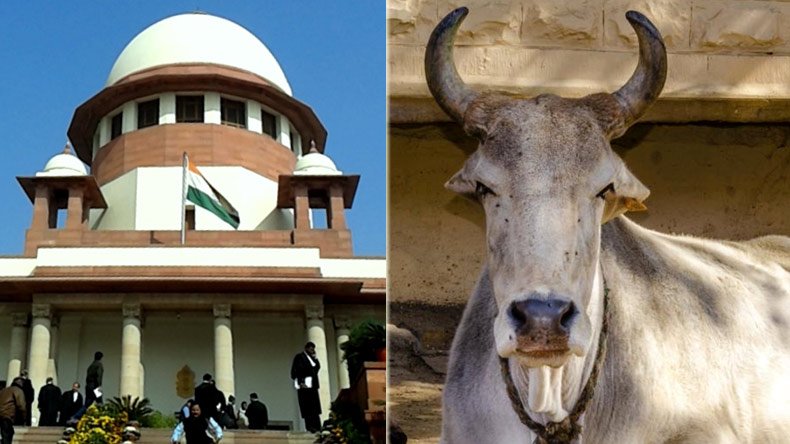 Court:In 1958 a lawsuit was filed by Qureshi saying cow slaughter ban law by state govt is an infringement on Muslims rights. The Supreme Court said that none of the Islamic text mandates cow slaughter. A total ban did not infringe any rights given under Articles 25 or 48.