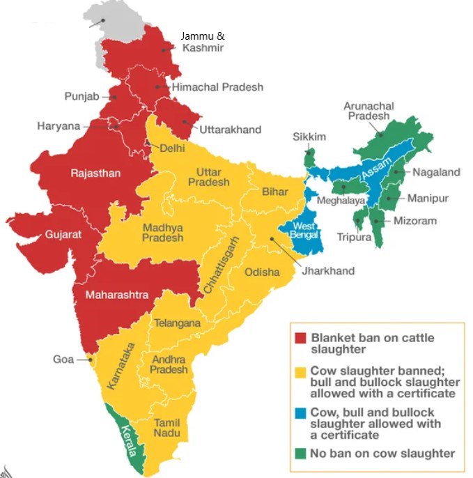 Beef also includes meat of cow, oxen & calf. As cow is considered sacred (mother) by Hindus, its slaughter hurts their sentiments deeply.20 out of 29 states in India have imposed partial or full ban on cow slaughter.