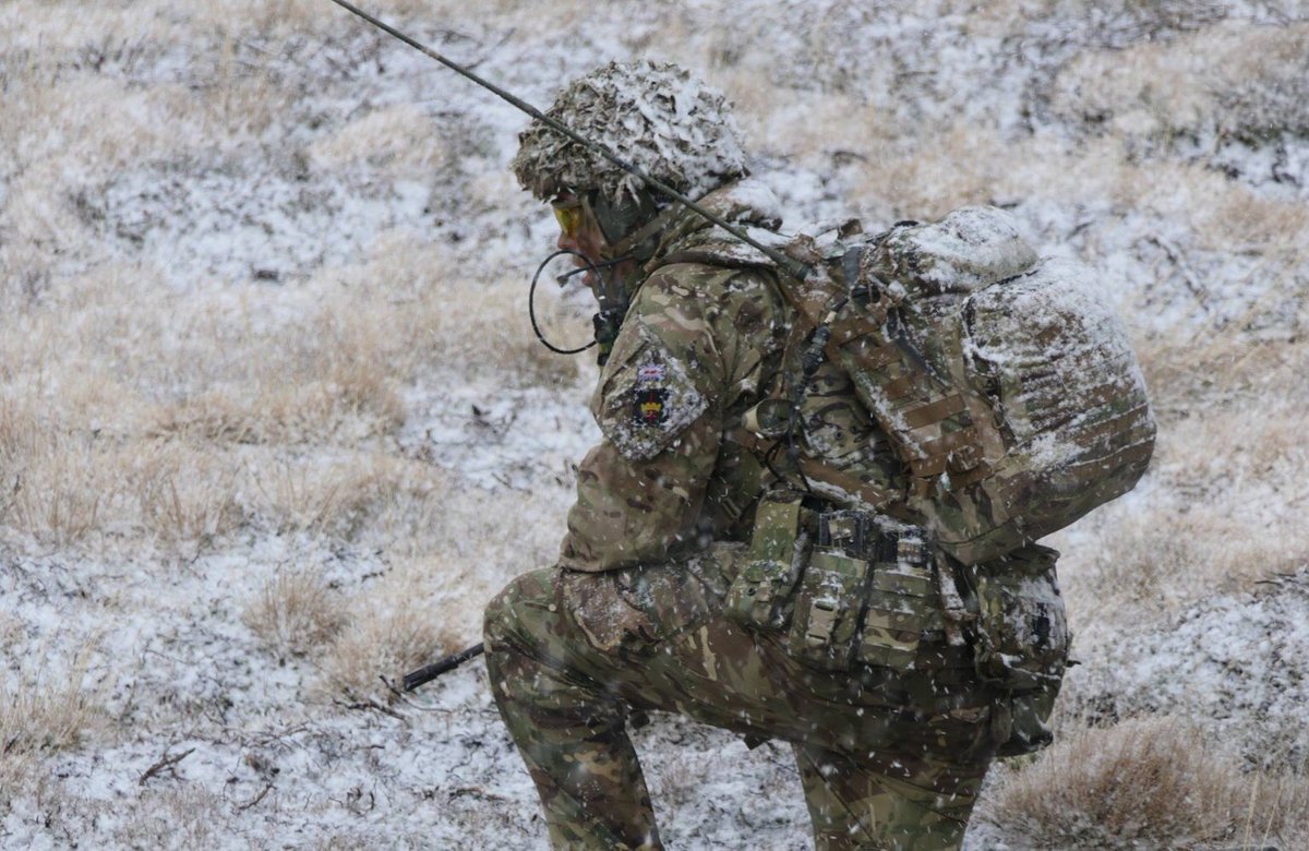 waltomliam (@waltomliam) on Twitter photo 