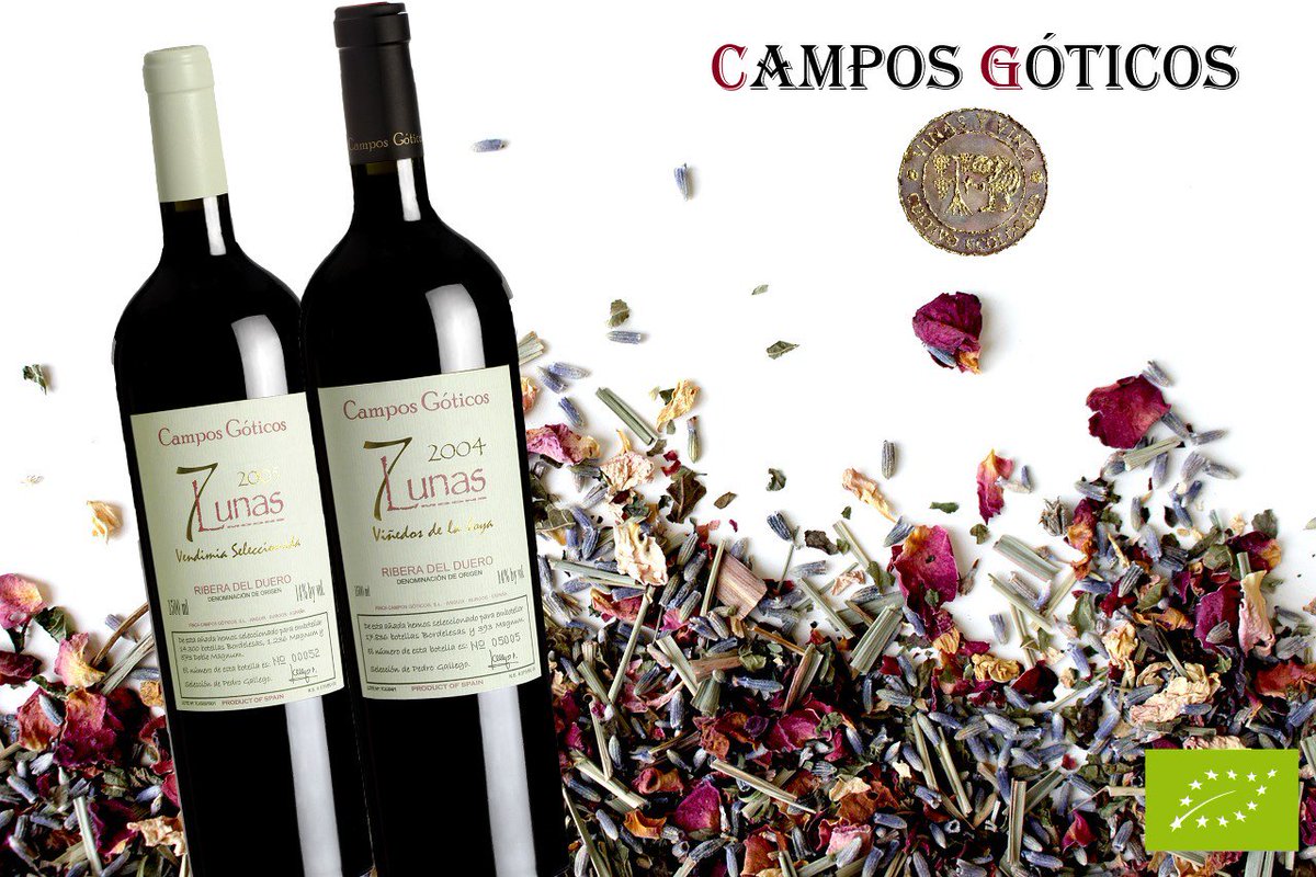 La vida está llena de grandes momentos.

¿Te gustaría tener acceso a vinos únicos, auténticos y mejor conservados; a precios más asequibles?

Puedes, comprando directamente a bodega y contando con un asesoramiento experto

Club de Vinos Campos Góticos🍷👇

bodegacamposgoticos.com/club-de-vino/