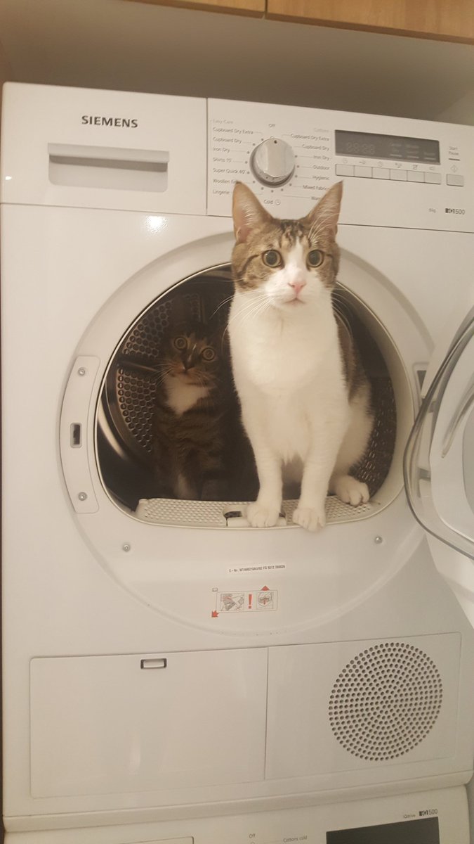 Lieutenant Flinders tweet media