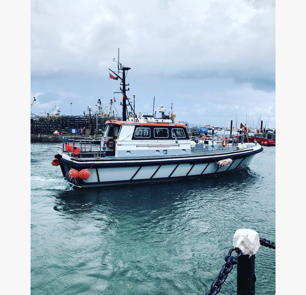 Donna Farr tweet media