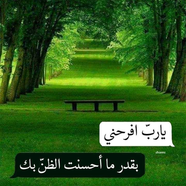 #زعيم_تويتر_محمود_فلورز_الثانويه
لا أعلم لماذا قد يحبسُ الناس الكلمات الجميله في قُلوبهم، بينما لو نطقوها لأزهرت بساتين الورد في صُدور أحبتهم.❤
#نقطة_وبداية_من_جديد