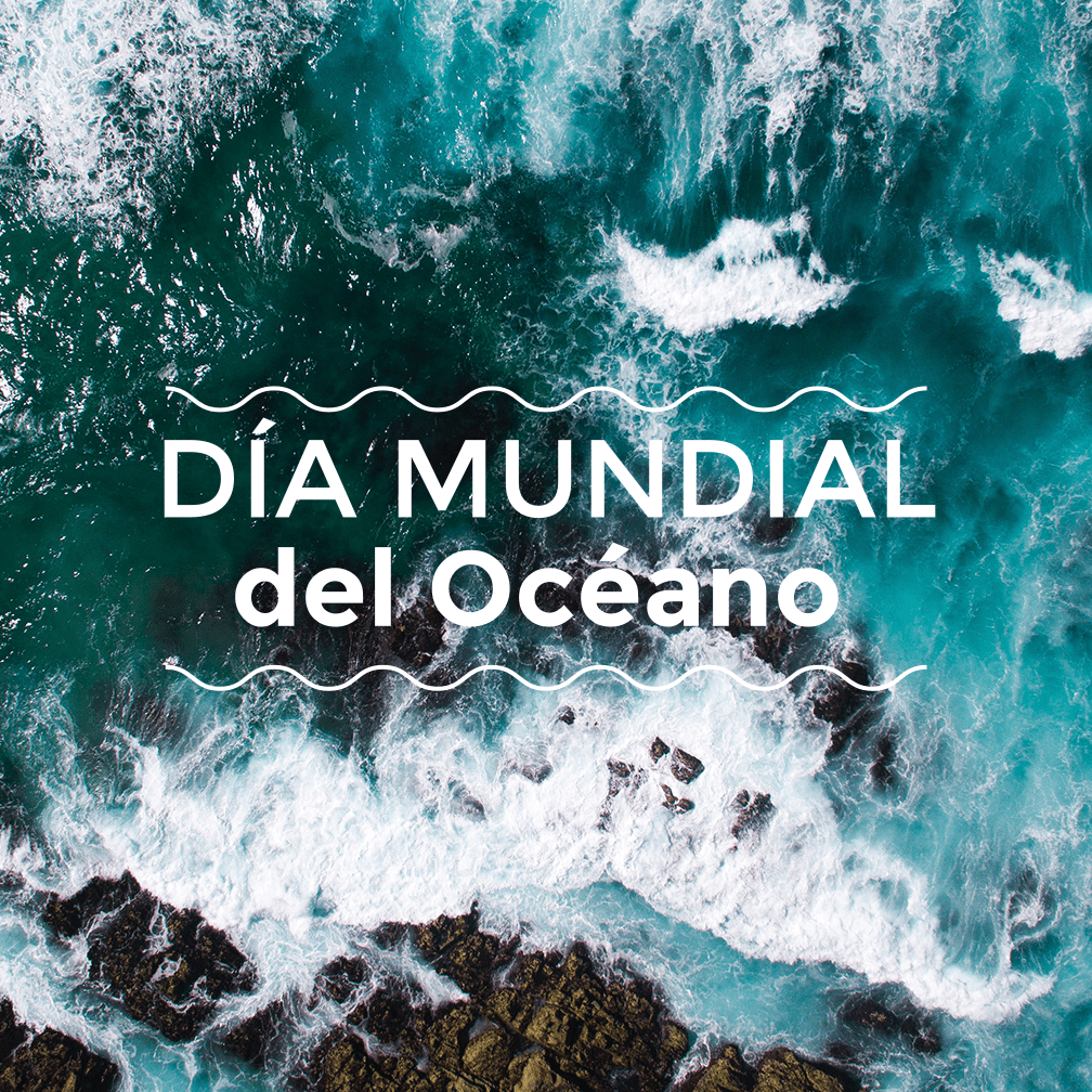 tiknervio's tweet photo. Te recomendamos disfrutar de la vista al mar antes de que la humanidad la haya destruido por completo y la haya convertido en un vertedero...
O puedes pensar en maneras de cómo puedes prevenir personalmente que esto suceda. https://t.co/uGU5Hq0tS5