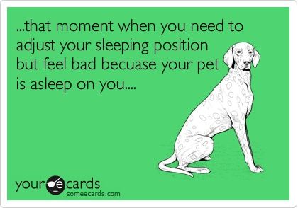 GuttersKall's tweet photo. entertainment is good medicine. Funny Confession Ecard: ...that moment when you need to adjust your sleeping position but feel bad... #hilarity #lol #grin #absurd https://t.co/QeRJKKH7Q9
