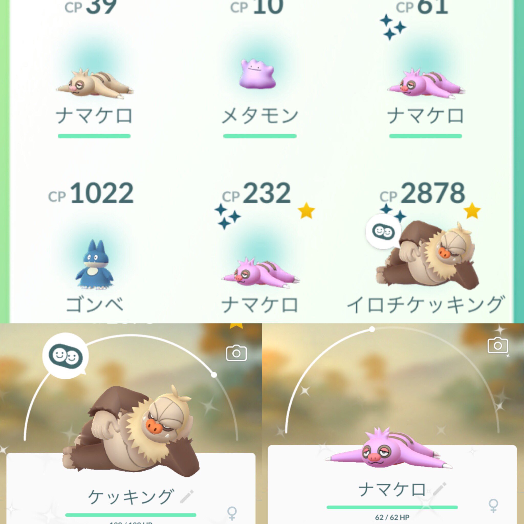 Naonao Mrはじめました 色違いケッキング 色違いナマケロげっと ノ ポケモンgo 色違いポケモン ナマケロ ケッキング ナマケロ色違い ケッキング色違い T Co Qgw9zceu6u Twitter