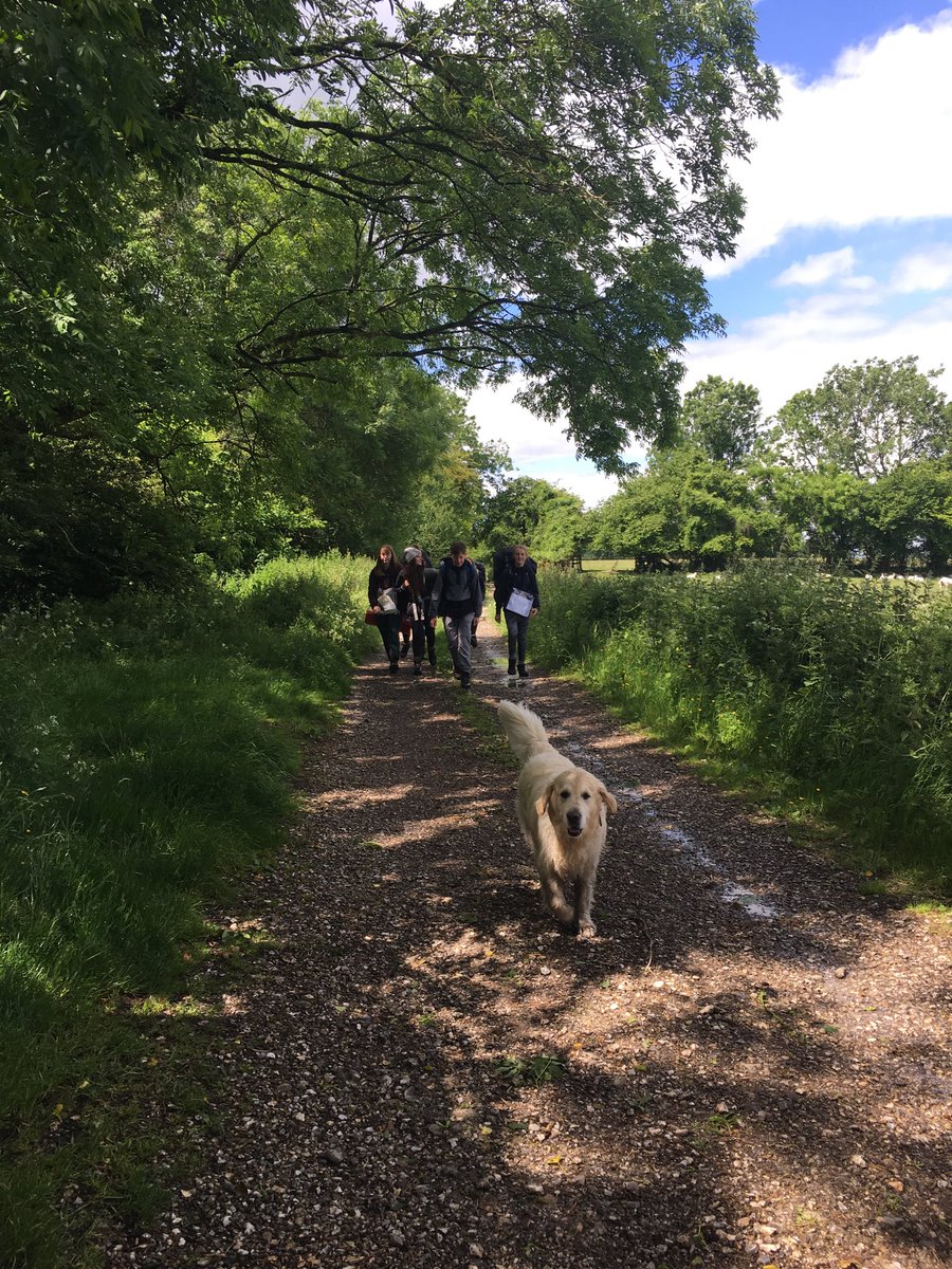 Pink and Blue teams doing really well on their #BronzeDofe qualifying expedition. Bit soggy up on #CranborneChase but beautiful views! #loveDofE ⁦<a href="/SomersetDofE/">Somerset DofE</a>⁩ #stateboarding