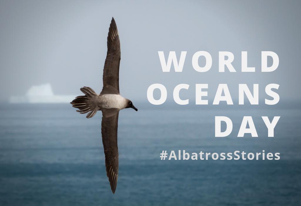 Today is #WorldOceansDay, and the perfect opportunity to share the story of the impressive birds that fly across our oceans for years at a time. This is 🐣 #AlbatrossStories 🐣 Learn more here: buff.ly/2Ewjx6a

📷Oli Prince