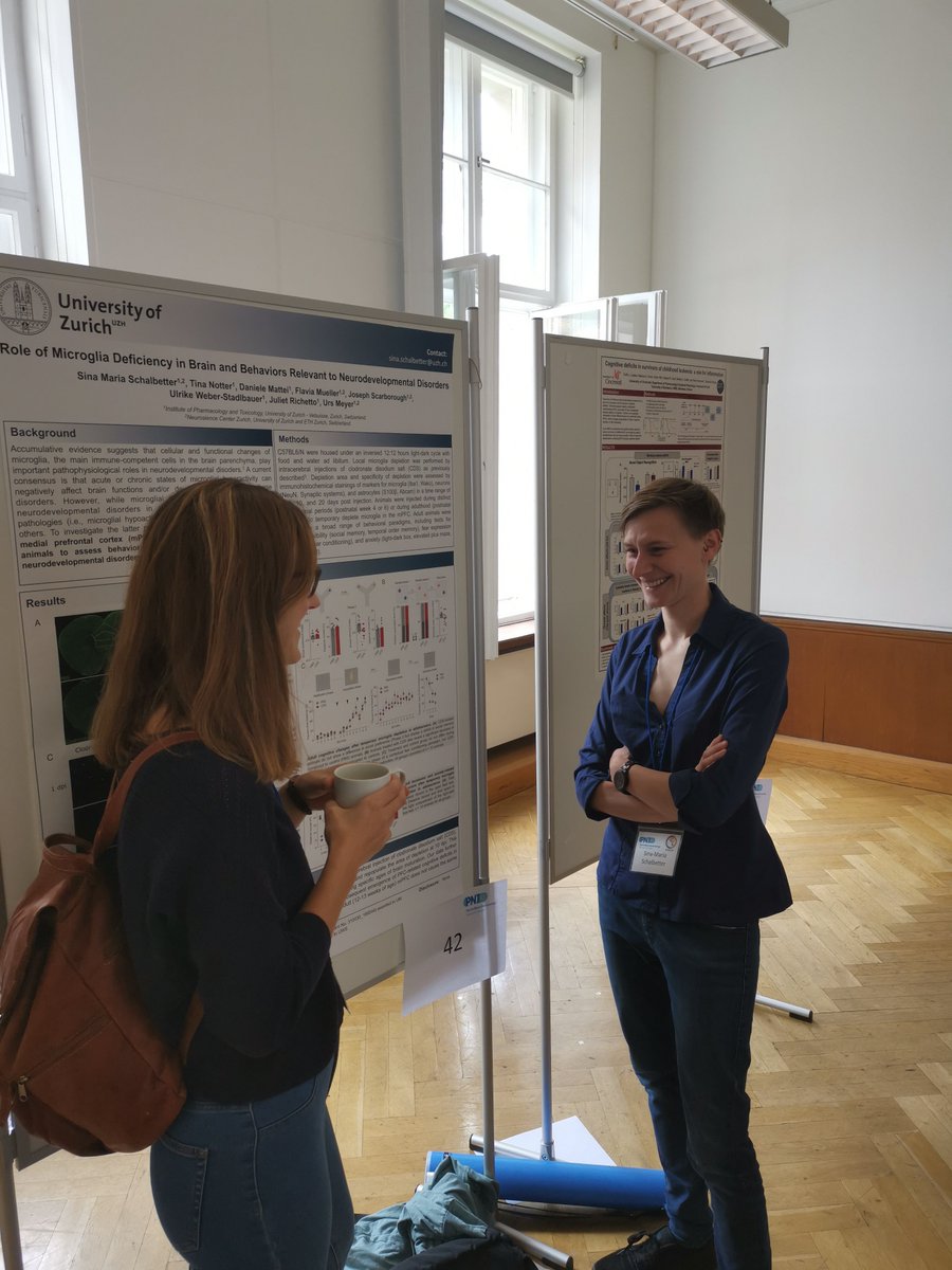 .<a href="/SchalbetterSina/">Sina Schalbetter</a> is ready at her poster for the session to start @PNIRS #PNIRS2019 #microglia
