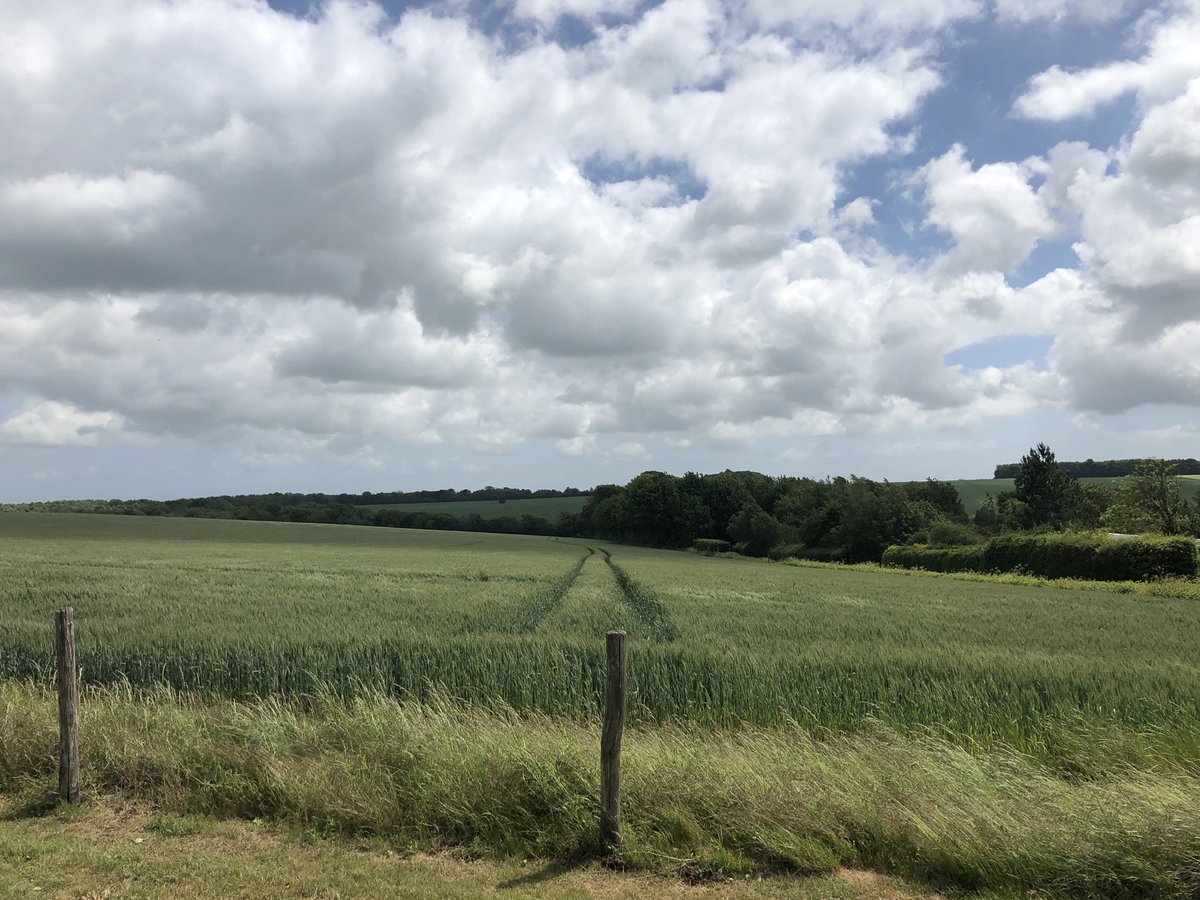 Didjfella's tweet photo. Dover to Canterbury ...Woolage Woolage lunch break... #PrayerPilgrimage2019 https://t.co/GLja41G7U6